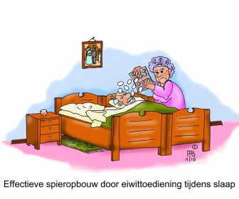 41 11 2016 effectieve spieropbouw door eiwittoediening tijdens slaap