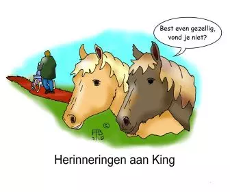 26 7 2018 herinneringen aan king